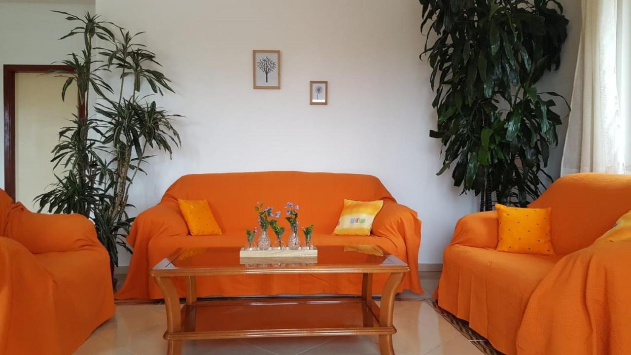 Bodul Vacation Apartment Zaton  Bagian luar foto